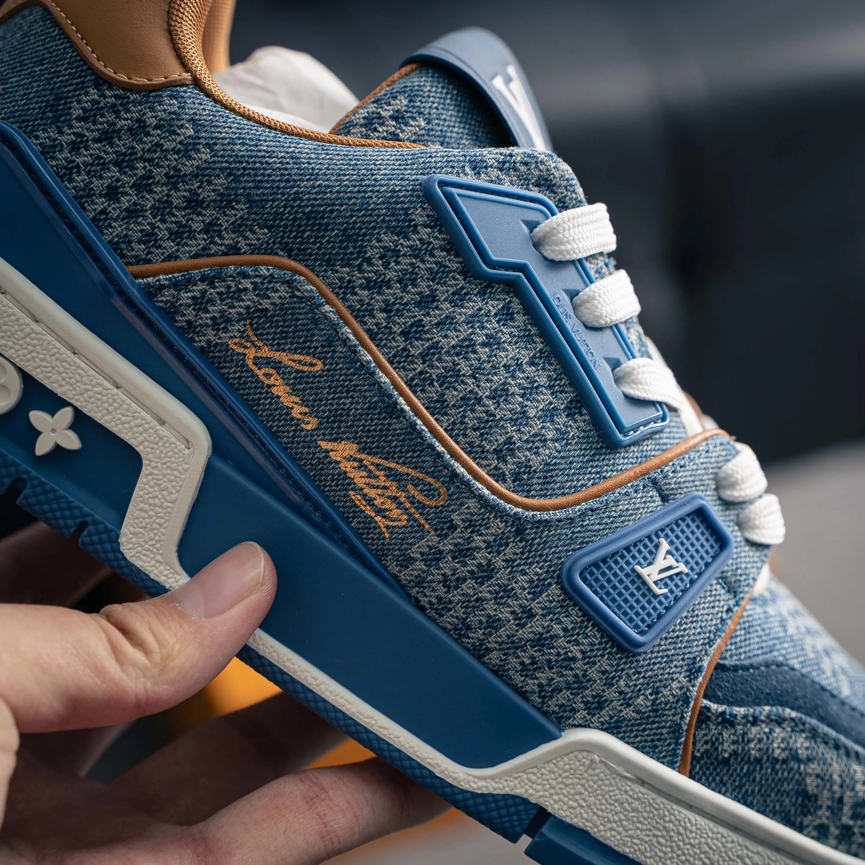 Louis Vuitton Trainer lv Sneakers Shoes Shoes